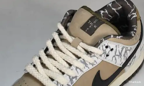  Nike  Dunk CT5053-010 QS SB PRM Low 0510